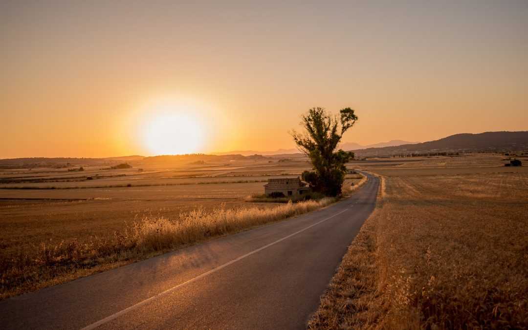 Vom Geist geleitet, Teil 3 – Säen, Begießen, Ernten