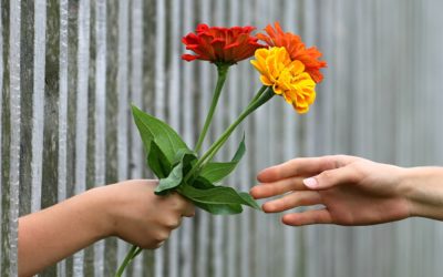 The Gift of Life