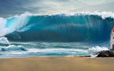 Vorbereitung auf den Tsunami